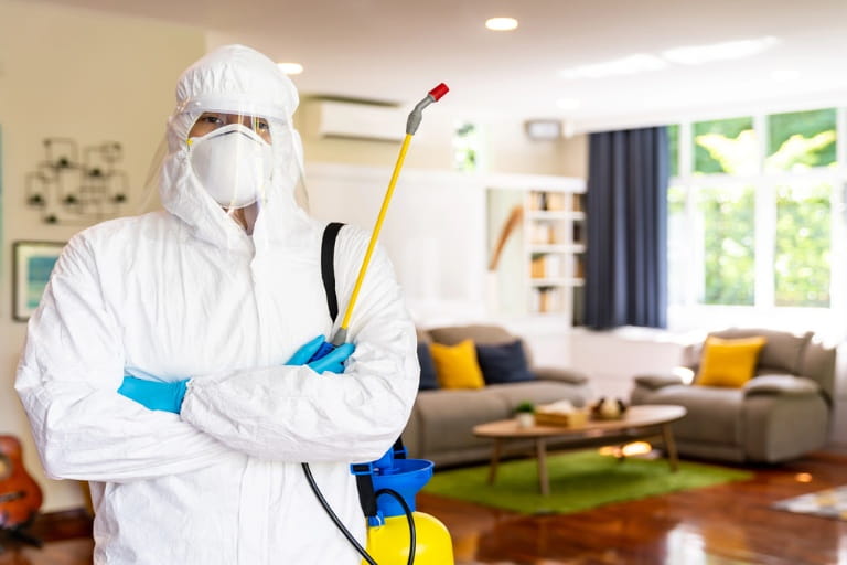 Signs You Need Professional Pest Control in Orange County
