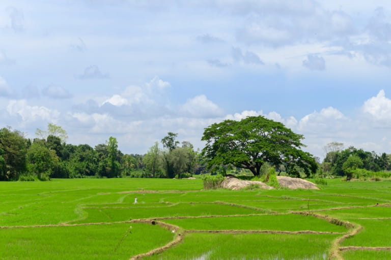Is Hambantota Worth Visiting? Here’s Who Should Go and Who Should Skip It
