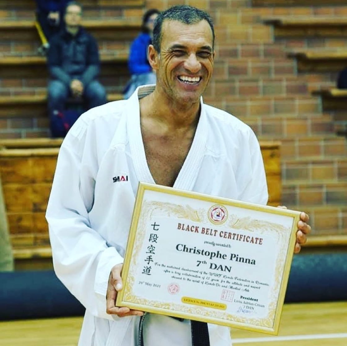 karate career